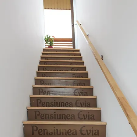 Pensiunea Evia Pensión *